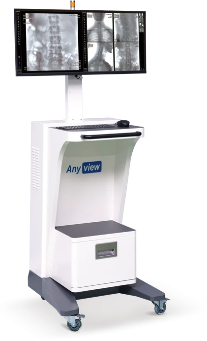 Anyview 500DR — Digital Spot Mode